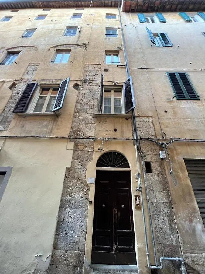 Mossotti Street Apartment Pisa